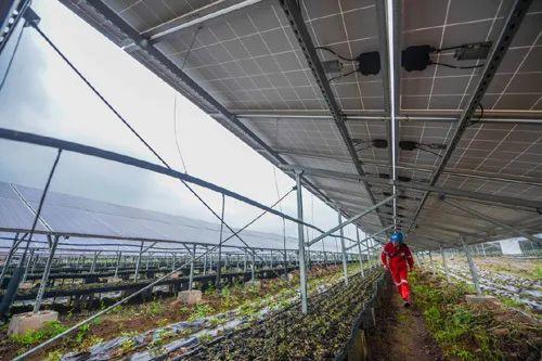 中國十三省最大光伏電站在這里！欽州康熙嶺的光伏電站能排上號了嗎？